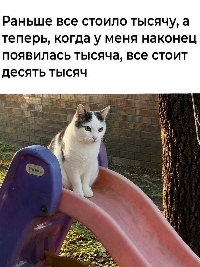 ��������� - 23 ���� 2026 � 09:59