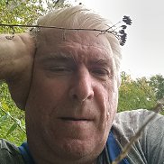 , 65 ,  
