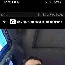 , 37, 