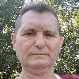 , , 65 