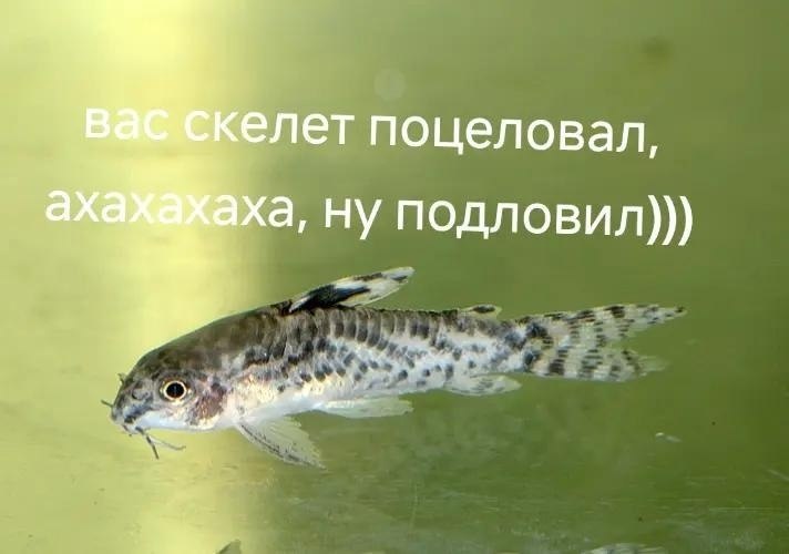 JPG - 12  2025  16:47 - 3
