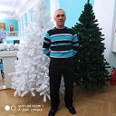 ���� �������, �����, 50 ��� - ��������� 20 ����� 2026