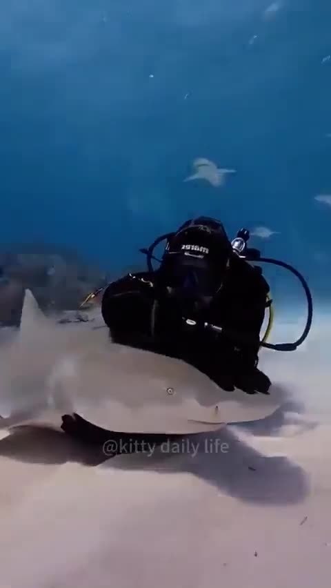 ��� ����� ���� �� ������ �������! - 2