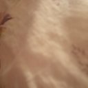 ���� �����, ���������, 22 ���� - ��������� 1 ������� 2023 � ������ ���� ����������
