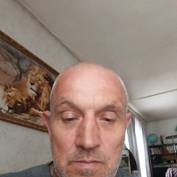 , 53 , 