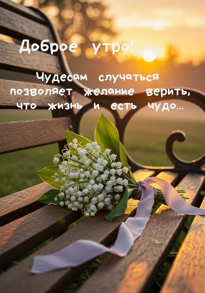  ,    . - 24  2025  23:46