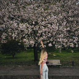 ���� ���������, ����������, 24 ���� - ��������� 24 ������ 2026