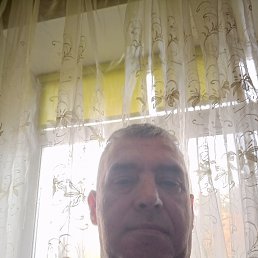 , 52, 