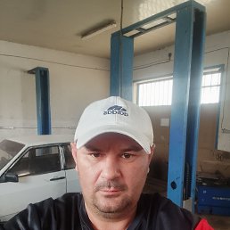 , 40, 