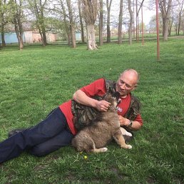 ����, 66 ���, ����������