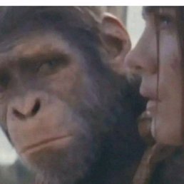 ��������, ������, 18 ���