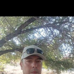 Mansur, 43, 