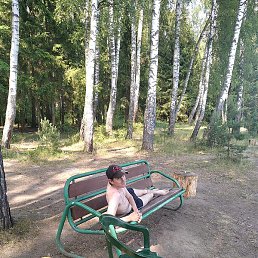 �������, ����������, 43 ����