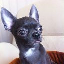 ���� �����, ������, 50 ��� - ��������� 12 ������� 2026 � ������ ���� ����������