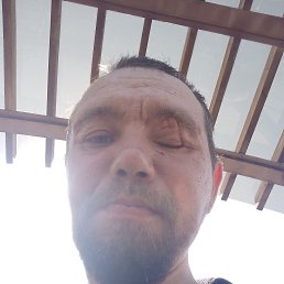 �����, 40 ���, �������