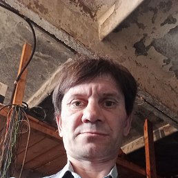 , 46, 