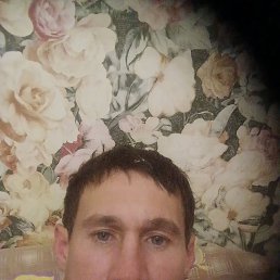 , 44, 