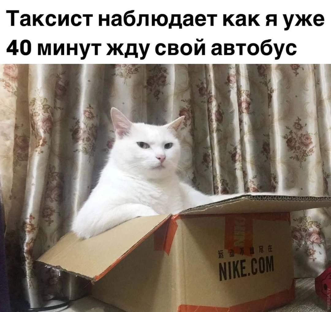   - 24  2024  15:46
