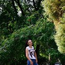 ���� �����, ���������� - ��������� 14 ������ 2026 � ������ ���� ����������