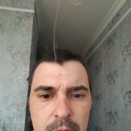 �������, 33 ����, ���������