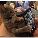 ���� ����, ������, 24 ���� - ��������� 27 ���� 2025 � ������ ���� ����������