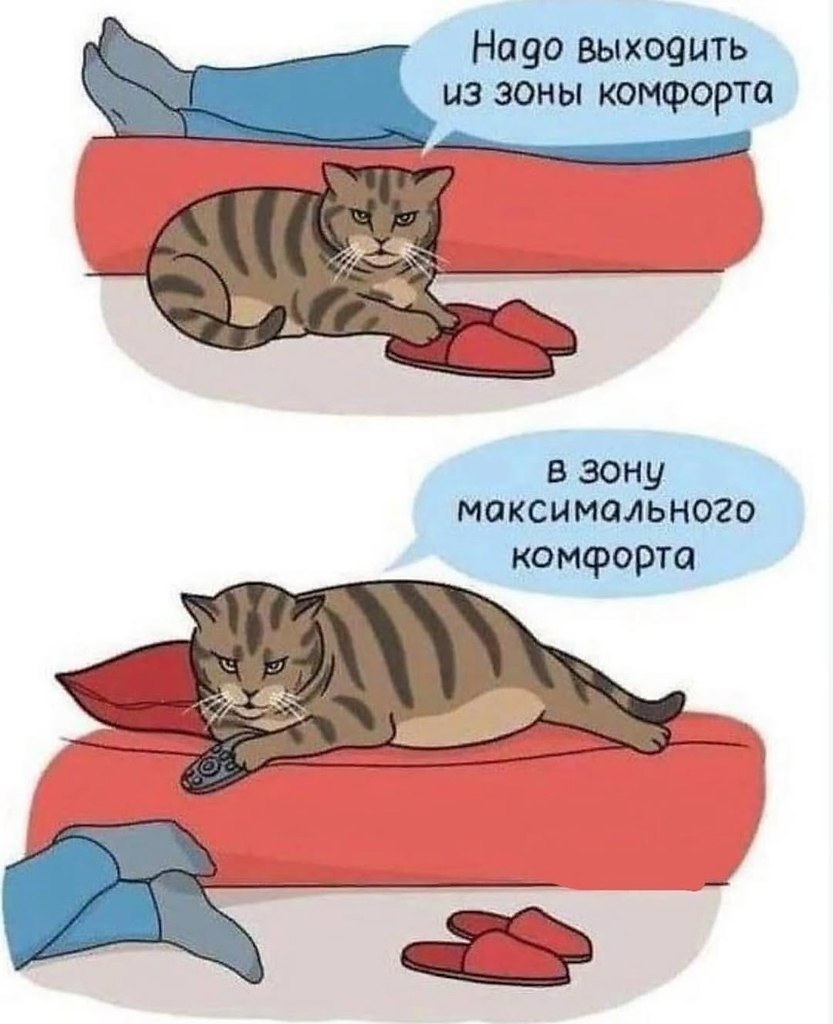 ... - 29  2025  21:50