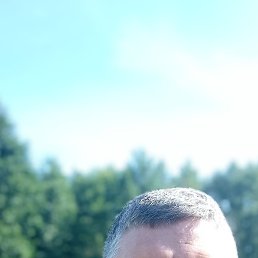 , 49, 