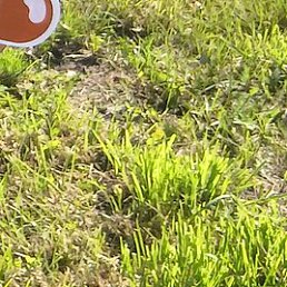 Valia, ������, 53 ����