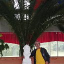 ���� �����, ������-��-����, 59 ��� - ��������� 25 ������ 2025 � ������ ���� ����������