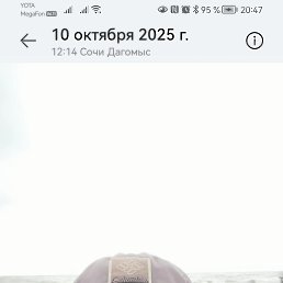 ��������, 55 ���, ����