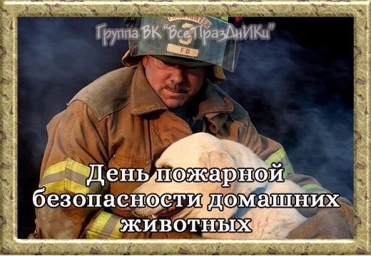 : . - 8