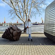 ����, 46 ���, ���������