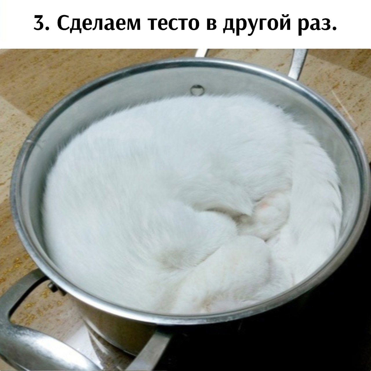  - 26  2025  16:09 - 3