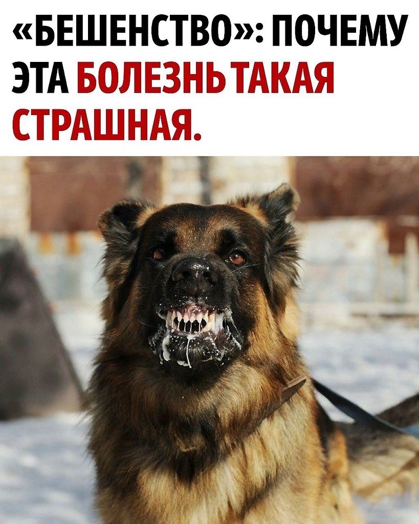    ,       .
