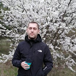 , 33, 