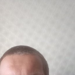 , 34, 