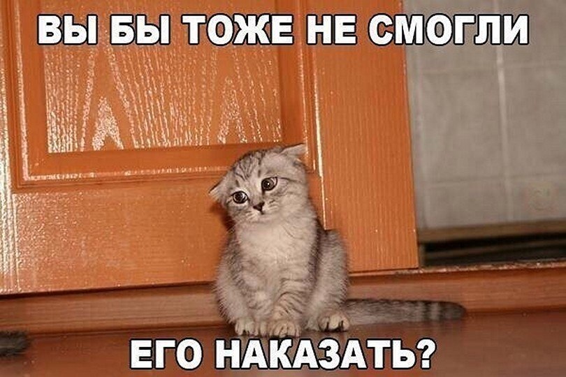 ? ,  ! - 7  2025  06:37