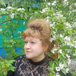 ���� �����, ������ ��������, 52 ���� - ��������� 26 ������� 2025