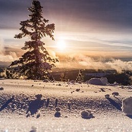 ������, �����������, 53 ����