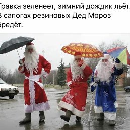 ���, ������, 55 ���