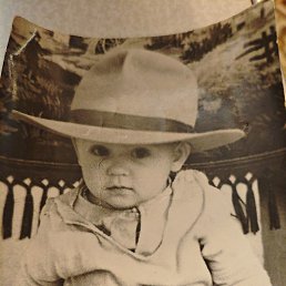 ������ �����, �����, 62 ����