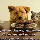���� �����, ������ - ��������� 1 ���� 2026 � ������ ���� ����������