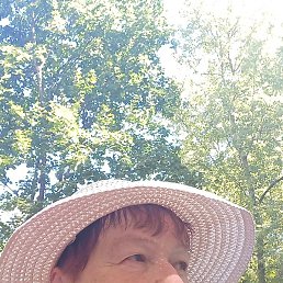 �������, ������, 66 ���