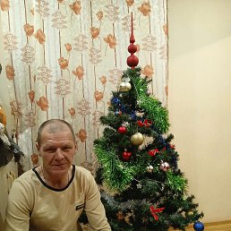 ���� �������, �����, 47 ��� - ��������� 13 ������ 2024