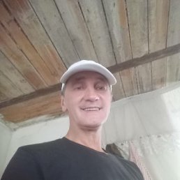 , 52, 