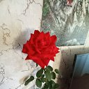 ���� ����, ������ ��������, 55 ��� - ��������� 4 ������� 2024 � ������ ���� ����������