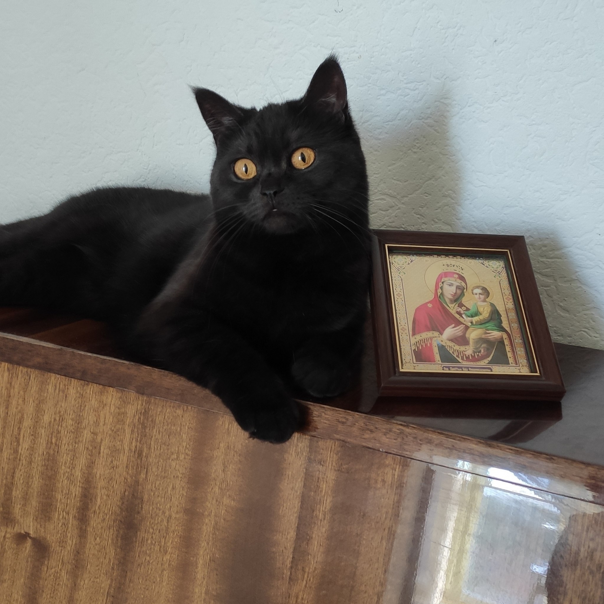 Ella - 13  2025  18:50