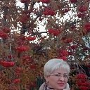 ���� ����, ������, 46 ��� - ��������� 22 ����� 2026