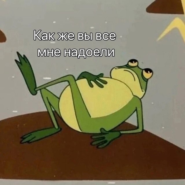 ����������: