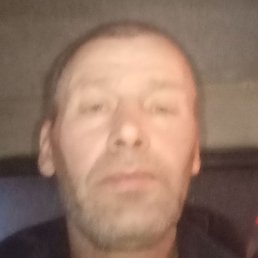 ������, ������, 51 ���